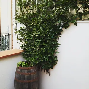 https://il-terrazzino-sul-kemonia.sicilyhotelsitaly.net